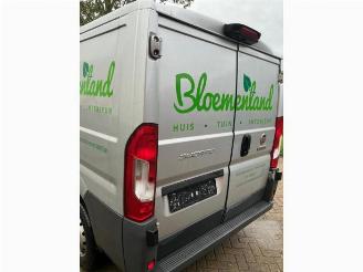 Fiat Ducato Ducato (250), Bus, 2006 2.3 D 130 Multijet Minibus Extralongo picture 18