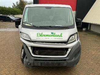 Fiat Ducato Ducato (250), Bus, 2006 2.3 D 130 Multijet Minibus Extralongo picture 8