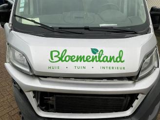 Fiat Ducato Ducato (250), Bus, 2006 2.3 D 130 Multijet Minibus Extralongo picture 10