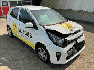 Sloopauto Kia Picanto Picanto (JA), Hatchback, 2017 1.0 DPi 12V 2024/10