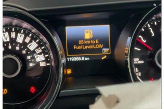 Ford USA Mustang  picture 16