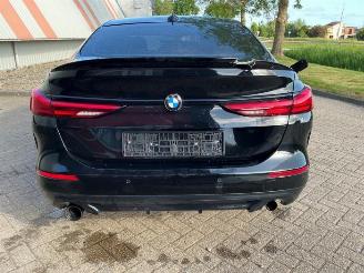 BMW 2-serie 2 serie Gran Coupe (F44), Sedan, 2019 220i 2.0 16V Twin Power Turbo picture 6