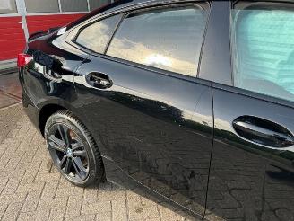 BMW 2-serie 2 serie Gran Coupe (F44), Sedan, 2019 220i 2.0 16V Twin Power Turbo picture 22