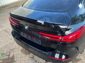 BMW 2-serie 2 serie Gran Coupe (F44), Sedan, 2019 220i 2.0 16V Twin Power Turbo picture 27