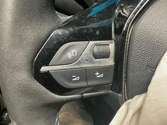Peugeot 2008 2008 (UD/UK/UR/US/UX), MPV, 2019 e-2008 54 kWh picture 15