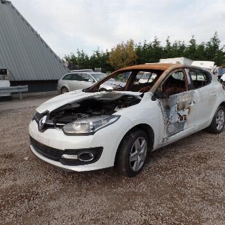 Renault Mégane  picture 1