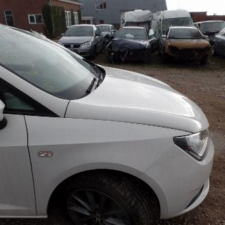 Seat Ibiza  picture 9