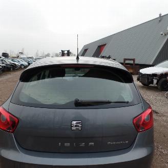 Seat Ibiza  picture 14