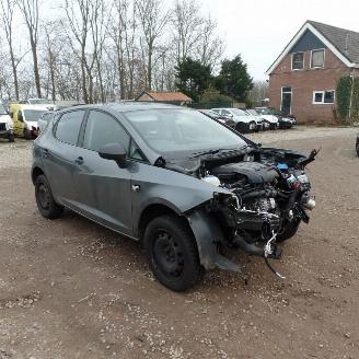 Seat Ibiza  picture 1