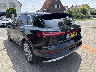 Audi E-tron 50 quattro Launch edition plus  71 kWh picture 5