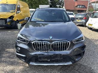 BMW X1 SDRIVE20I HIGH EXECUTIVE picture 7
