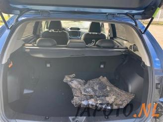 Subaru XV XV (GT/GX), SUV, 2017 2.0 AWD 16V picture 15