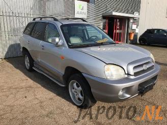 Hyundai Santa Fe Santa Fe I, SUV, 2000 / 2006 2.0 16V 4x2 picture 6