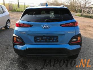 Hyundai Kona Kona (OS), SUV, 2017 1.0 T-GDI 12V picture 6