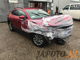 Mazda CX-30 CX-30 (DM), SUV, 2019 1.8 Skyactiv D 116 16V picture 9