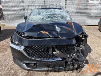 Mazda CX-30  picture 8