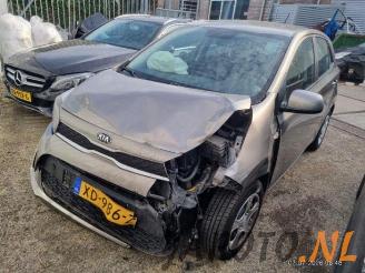 Coche siniestrado Kia Picanto Picanto (JA), Hatchback, 2017 1.0 12V 2018/12