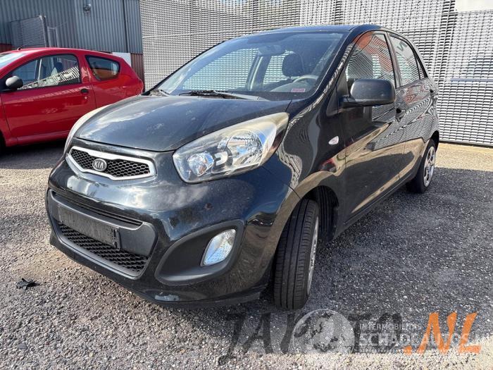 Kia Picanto Picanto (TA), Hatchback, 2011 / 2017 1.0 12V