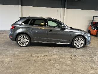 Audi A3 e-tron PHEV Ambition Pro Line plus NAP! picture 6