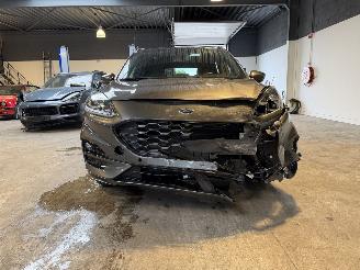 Ford Kuga 2.5 PHEV ST-Line Pano VOL! picture 8