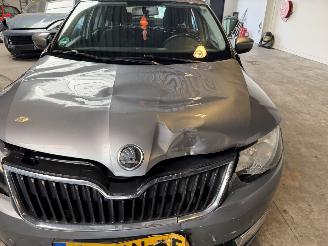 Skoda Rapid 1.2 TSI Greentech Ambition picture 10