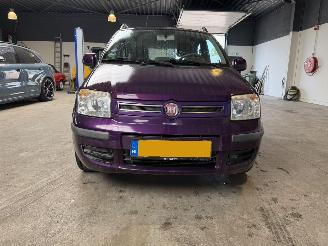 Fiat Panda 1.2 Edizione Cool NAP! picture 8