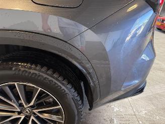 Lexus NX 450h+ AWD Luxury Line NAP! picture 14