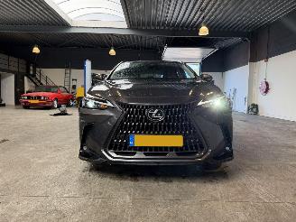 Lexus NX 450h+ AWD Luxury Line NAP! picture 8
