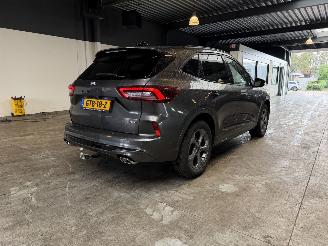 Ford Kuga 2.5 PHEV ST-Line NAP! picture 5