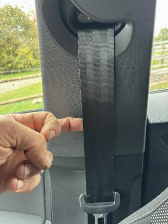 Seat Ibiza 1.0TSI Style buss. Automaat 45.000KM Pano picture 25