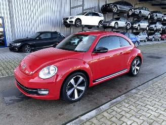  Volkswagen Beetle  2014/1