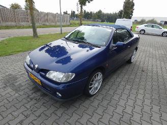 Renault Mégane Cabrio 2.0 picture 7