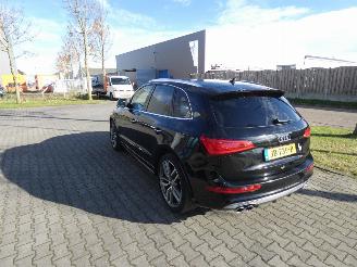 Audi SQ5 3.0 TDI SQ5 q. Pro L picture 6