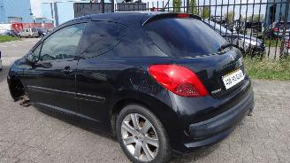 Peugeot 207 1.6  88 KW picture 5