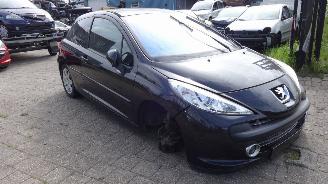 Peugeot 207 1.6  88 KW picture 2