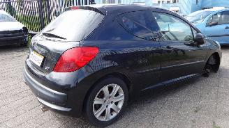 Peugeot 207 1.6  88 KW picture 6