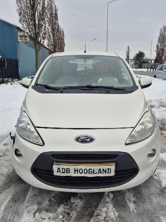 rozbiórka samochody osobowe Ford  II Hatchback 1.2 (169.A.4000(Euro 4; Euro 5)) [51kW] 5-BAK 2010/1