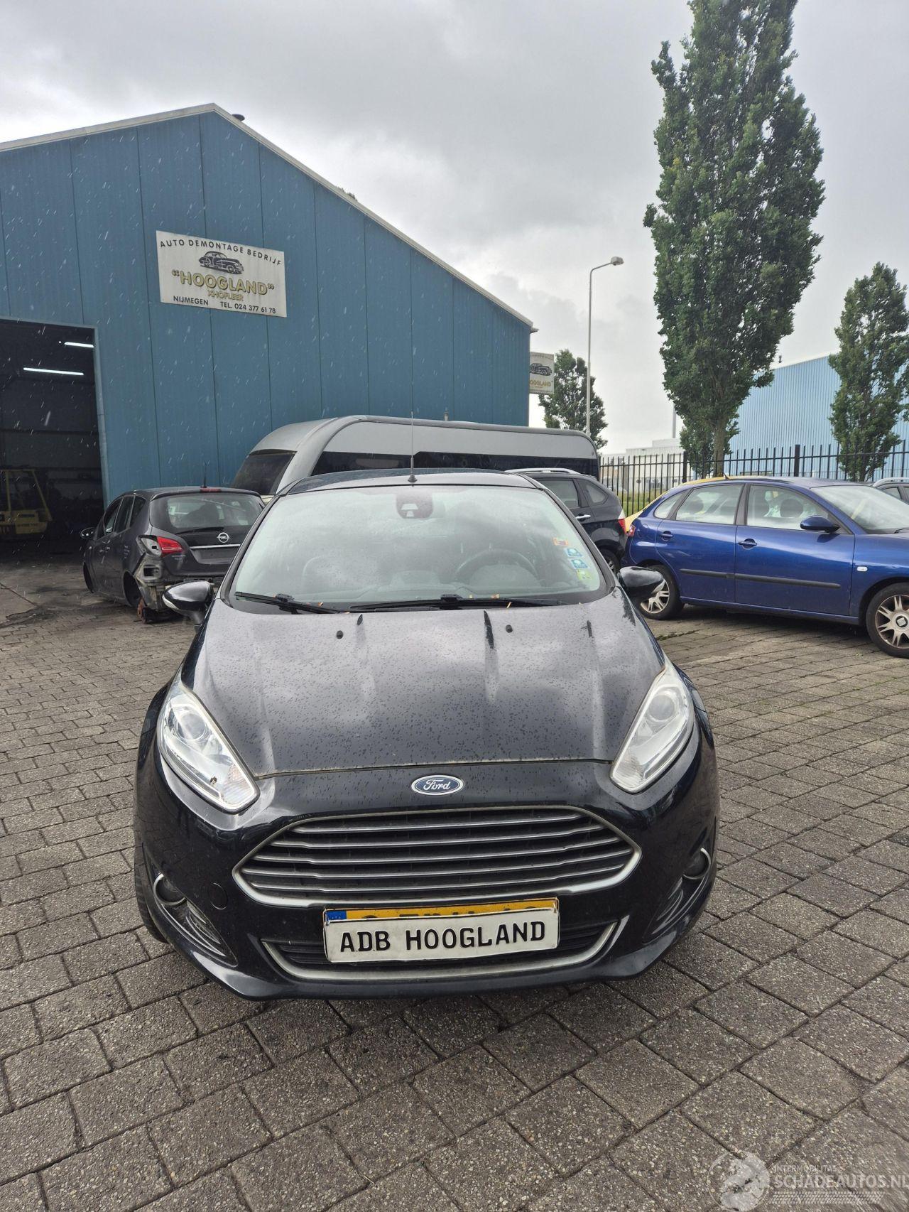Ford Fiesta 6 (JA8) 1.0 EcoBoost 12V 100 Hatchback, Benzine, 998cc, 74kW (101pk), FWD, SFJA,5-BAK