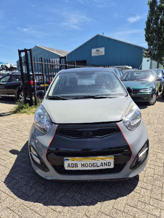 Vrakbiler auto Kia Picanto (TA) Hatchback 1.0 12V (G3LA) [51kW] 5-BAK 2013/1