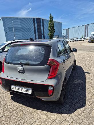Kia Picanto (TA) Hatchback 1.0 12V (G3LA) [51kW] 5-BAK picture 5