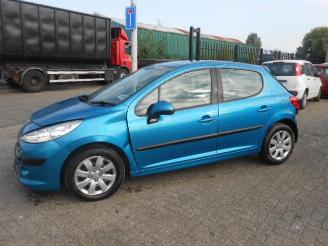 Peugeot 207 1.6 HDI picture 2
