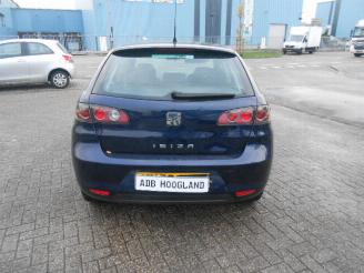 Seat Ibiza 1.4 16V kleurcode LW5U picture 4