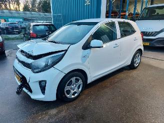 Avarii autoturisme Kia Picanto Picanto (JA) Hatchback 1.0 12V (G3LD) [49kW] 2023/6