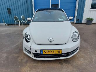 Volkswagen Beetle Beetle (16AB) Hatchback 3-drs 1.2 TSI picture 2
