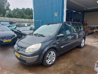 Schadeauto Renault Grand-scenic Grand Scénic II (JM) MPV 2.0 16V 2005/11