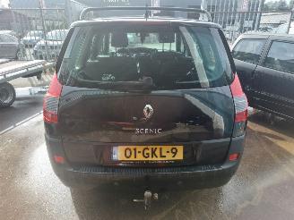 Renault Grand-scenic Grand Scénic II (JM) MPV 1.9 dCi 130 picture 5