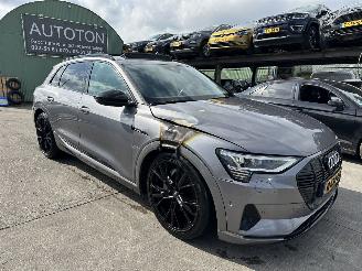 uszkodzony samochody osobowe Audi E-tron 71kWh 50 Quattro 230KW Launch Edition Plus Pano NAP 2019/12
