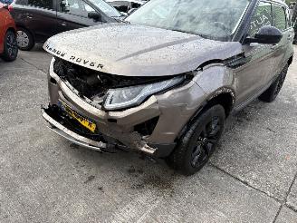 Land Rover Range Rover Evoque 2.0 Si4 Autom. 177KW Pano Clima Navi Urban series SE NAP picture 19