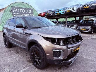 Land Rover Range Rover Evoque 2.0 Si4 Autom. 177KW Pano Clima Navi Urban series SE NAP picture 5