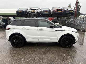 Land Rover Range Rover Evoque 2.2 SD4 140KW Autom. 4WD Autobiography Clima Navi Camera Led picture 2